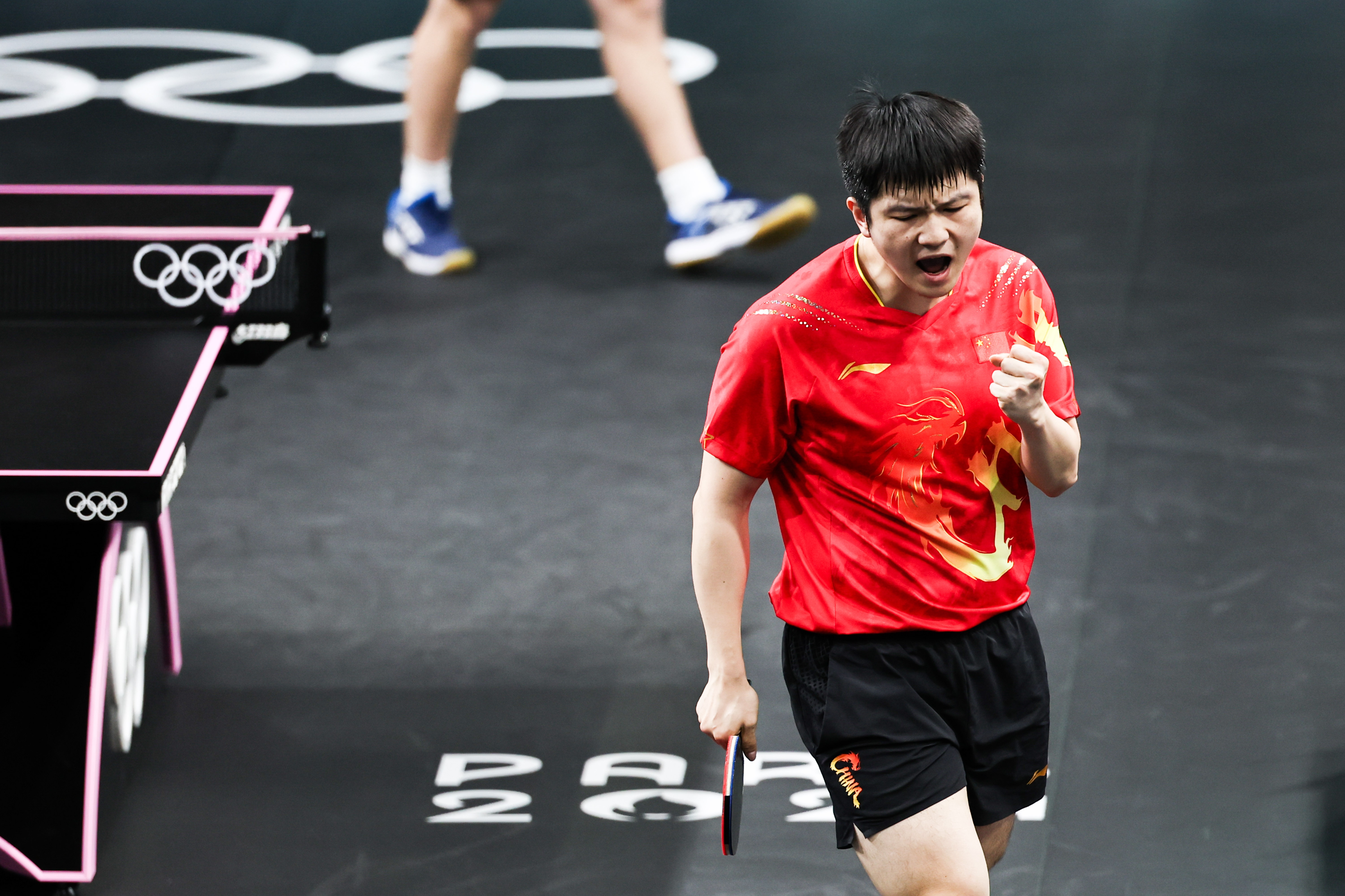 中国队轻取波兰队，樊振东惊艳四座的简单介绍