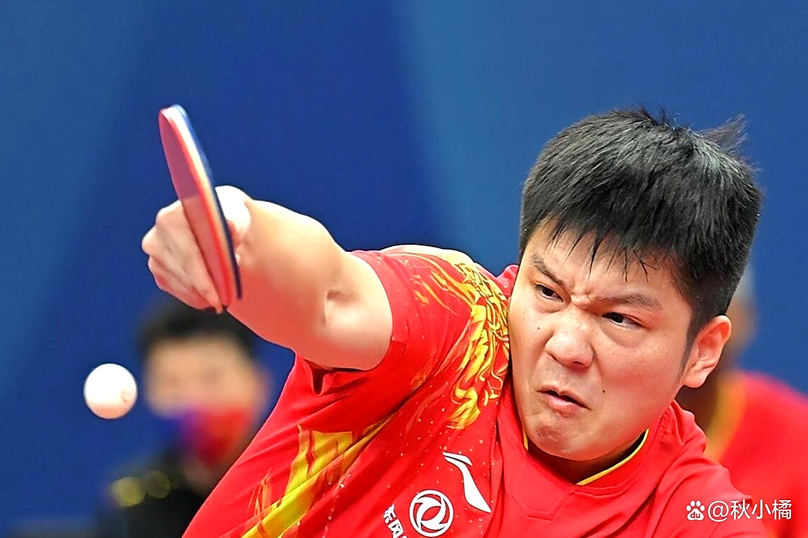 中国队轻取波兰队，樊振东惊艳四座的简单介绍