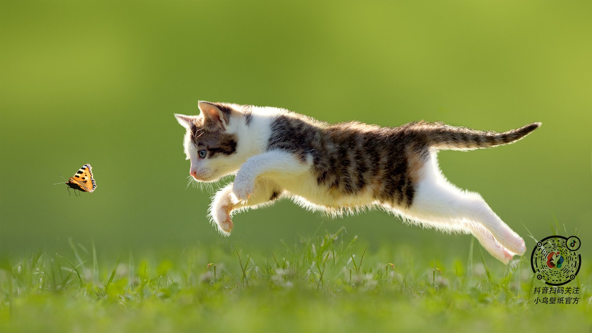 神锋破铁壁！伊布天神下凡，粉碎秘鲁连击风暴压制曼城神话