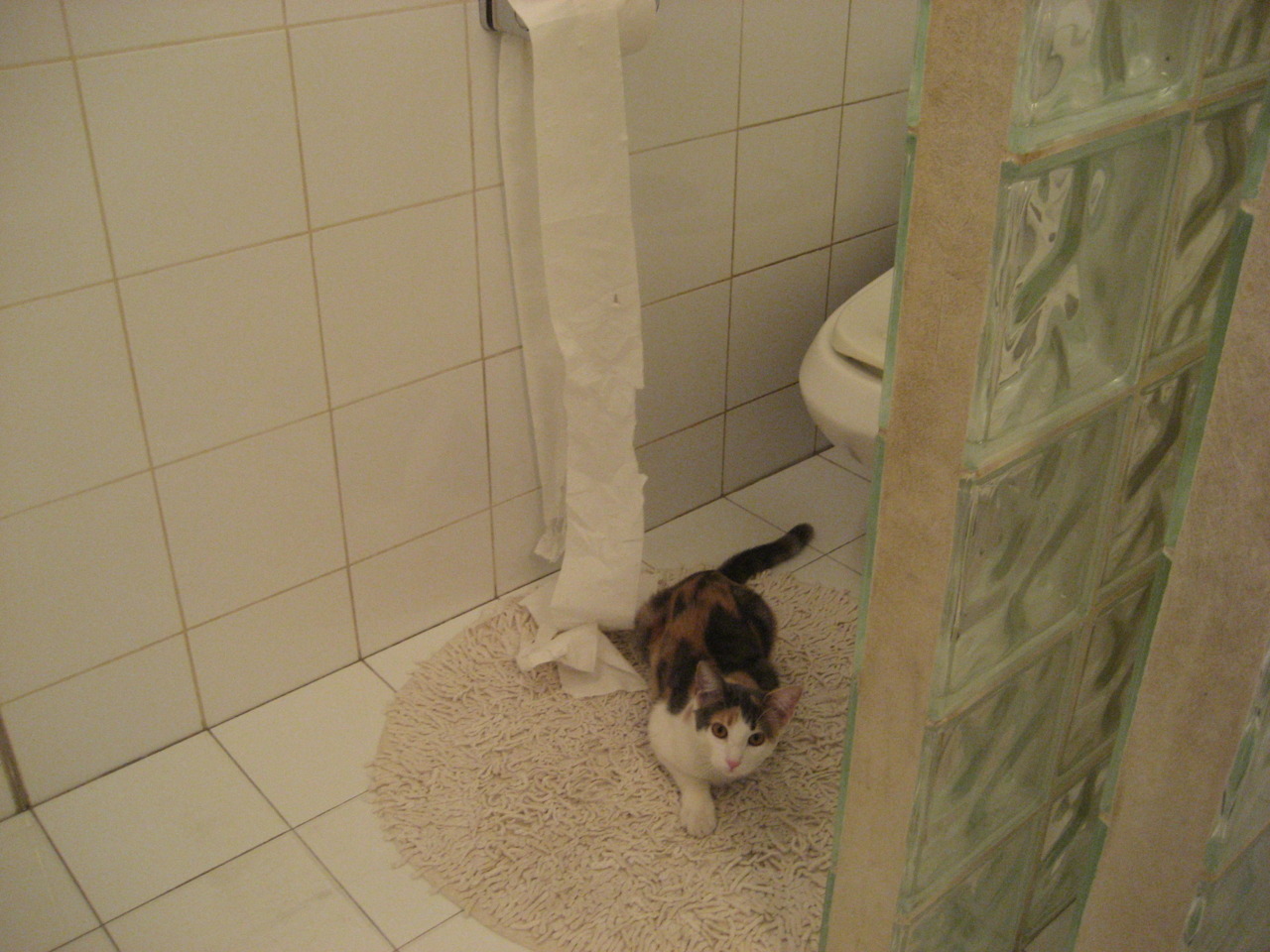 钢索上的舞者，迪亚斯在抢七之夜的铁血防守