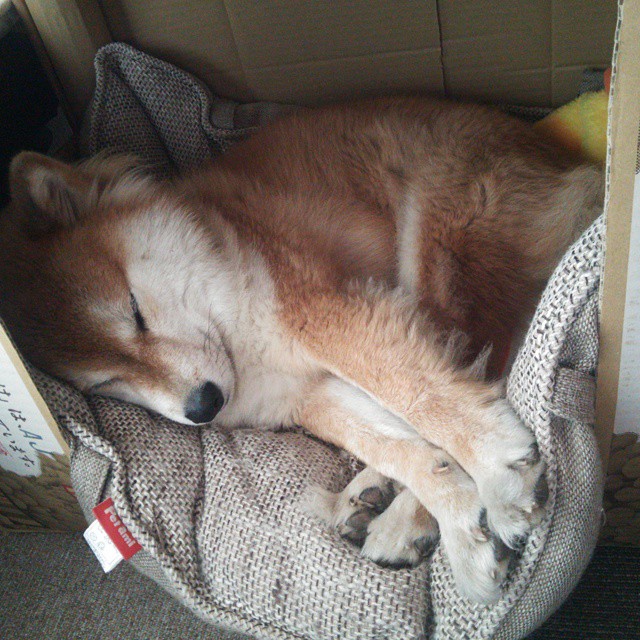 瞬间定义永恒,黄喜灿在两个世界之间的传奇闪光