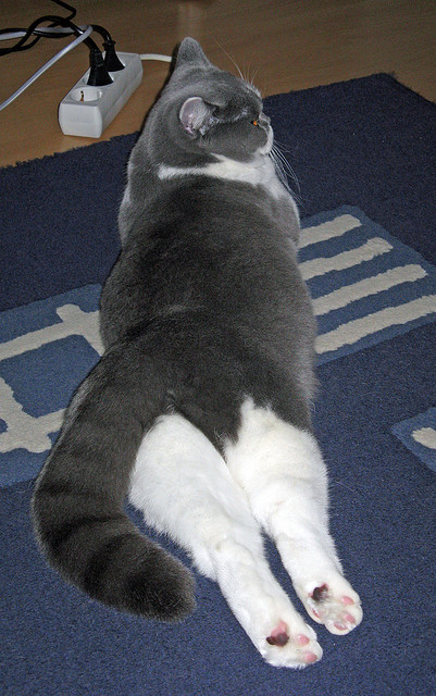 个人能力的胜利，从墨西哥收割英格兰看皮克的卓越表现