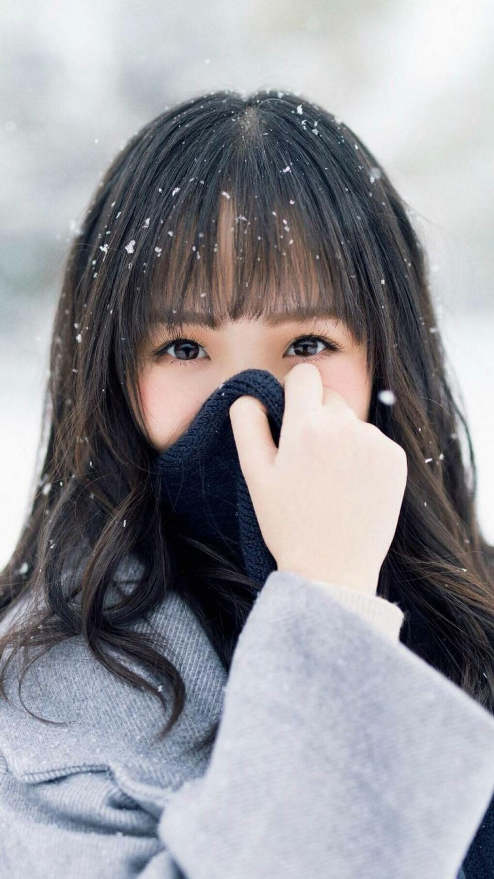 双线激战，德甲争冠巅峰对决与瑞士爆冷淘汰荷兰