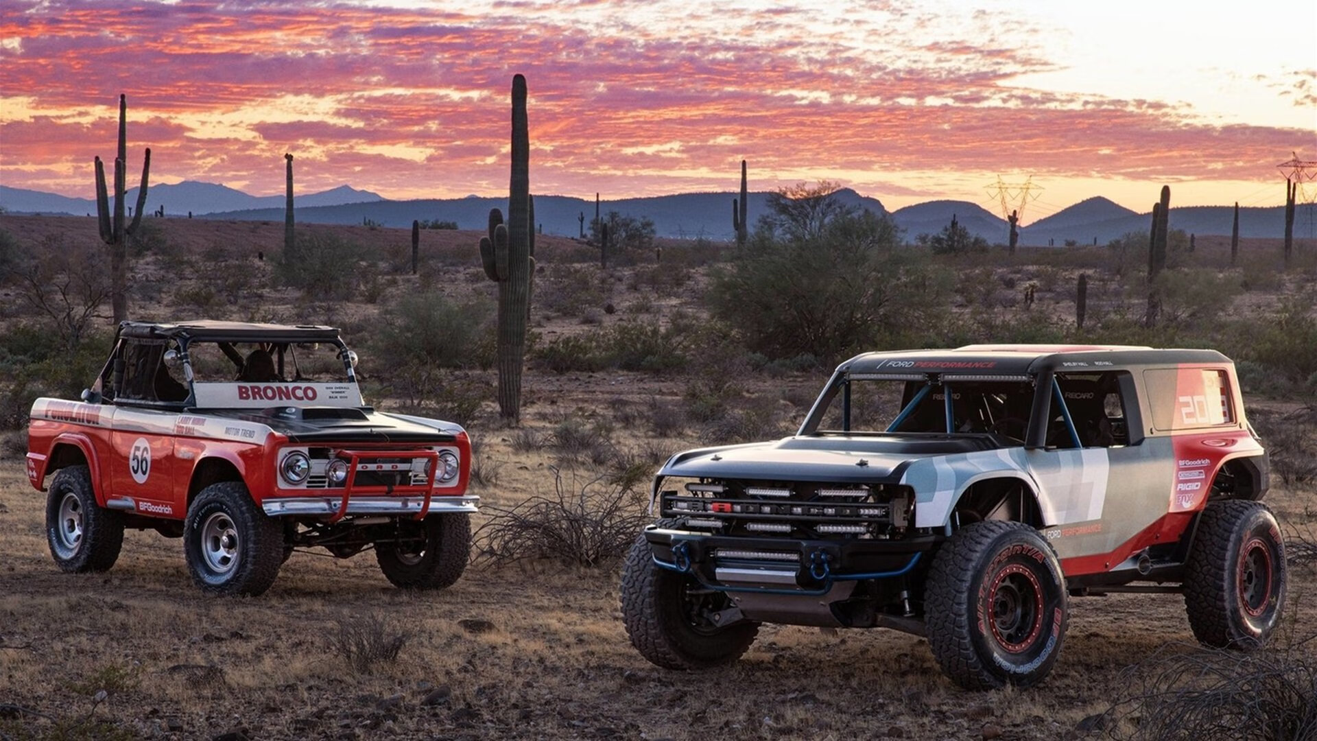 冰与火之歌，当紫金王朝的烈焰，冻结天山脚下的最后一片雪