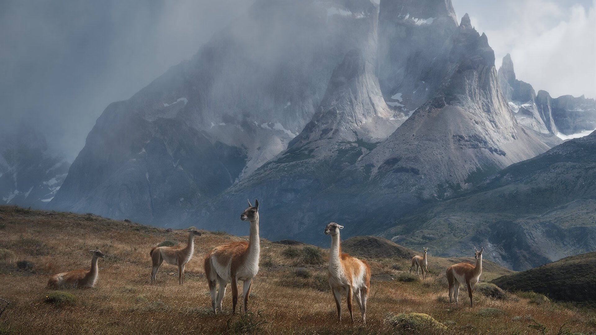巴伦西亚苏醒,群蜂乱舞蛰伤牙买加,巴尔韦德的隐形权杖与厄瓜多尔的节奏美学