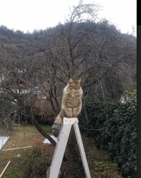 爱游戏在线-重构传奇，从西决生死战场、勒沃库森巅峰对决到洪都拉斯—压力下的辉煌如何定义竞技真谛