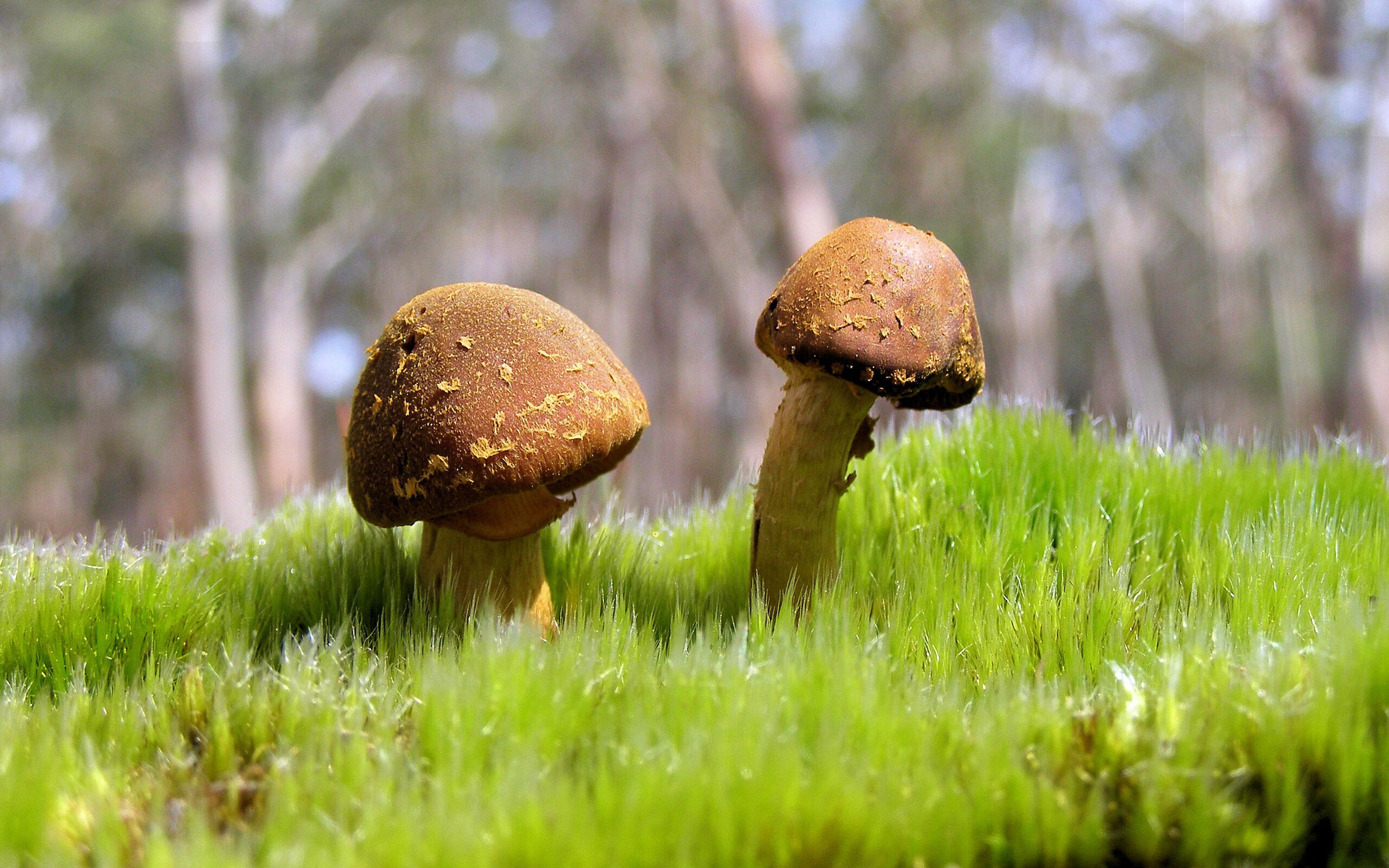 掌控的艺术与棋局，萨拉赫的锋芒与克罗地亚的节奏