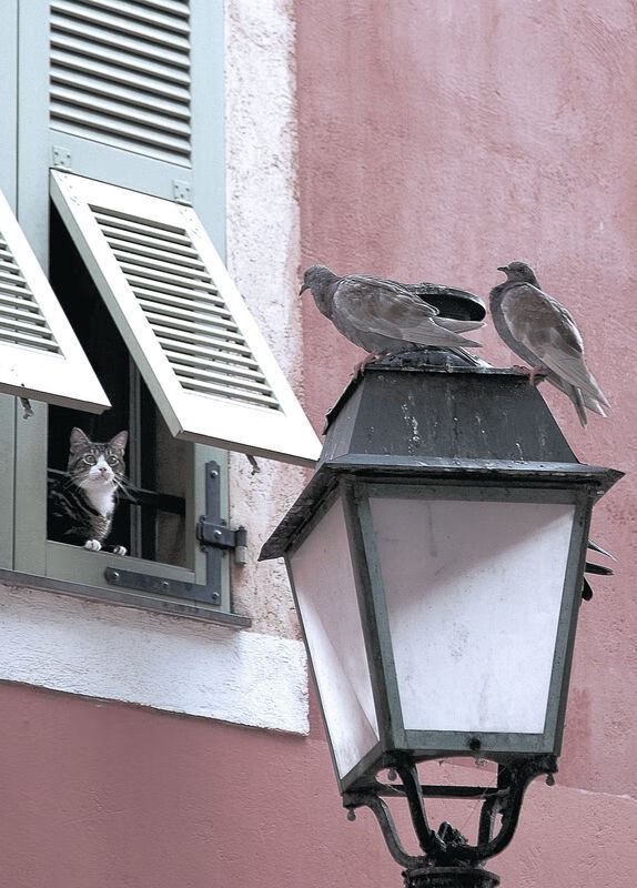 绿茵双重奏，李刚仁的亚洲高光与国际米兰的压哨绝杀